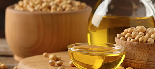Soybeans and Soybean Oil Sustainability: U.S. Compared to Argentina and Brazil